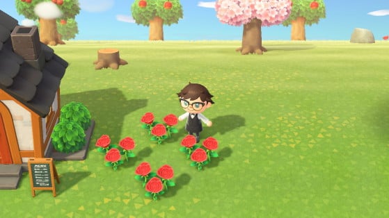 Animal Crossing New Horizons Gold Roses How To Get Them Millenium,How Much Money In Monopoly
